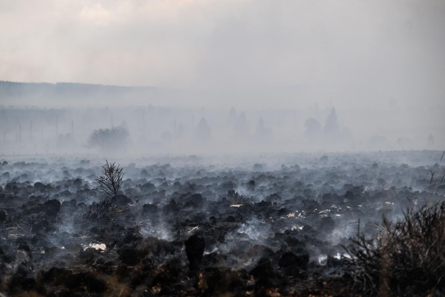 High Fens fire