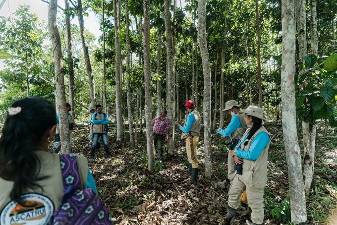 Groupe d'experts travaillant dans une jungle sud-américaine