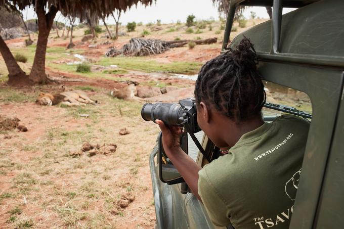 Une patrouille anti-braconnage photographie des lions depuis une Jeep dans la savane africaine