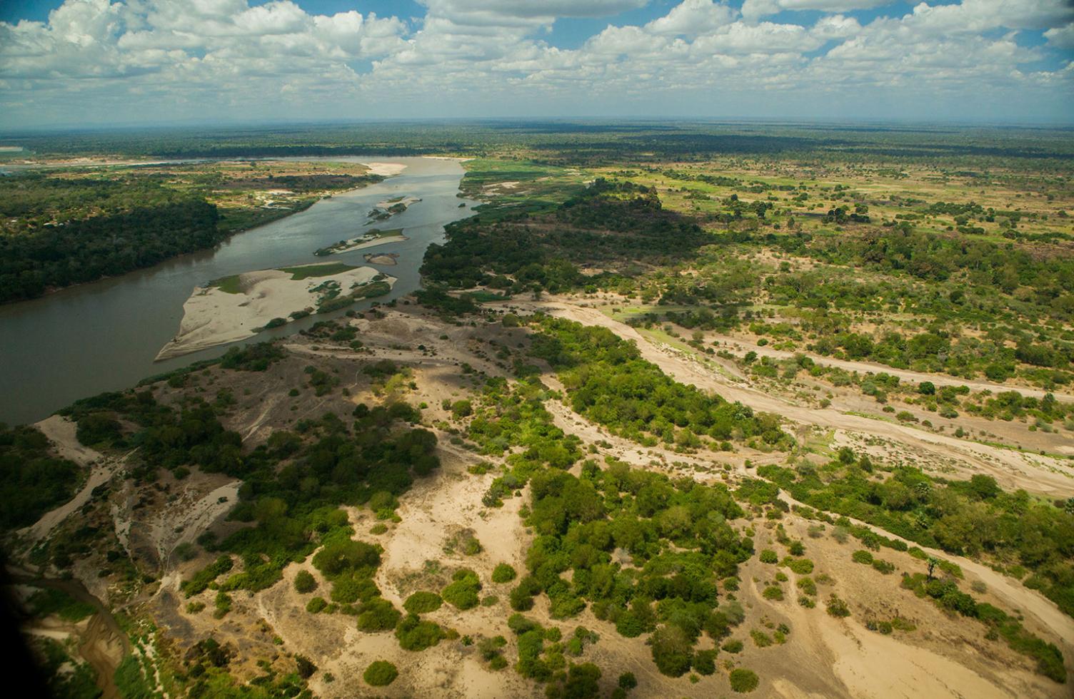 Luchtfoto van neushoorn habitat in Azië, vernietiging habitat