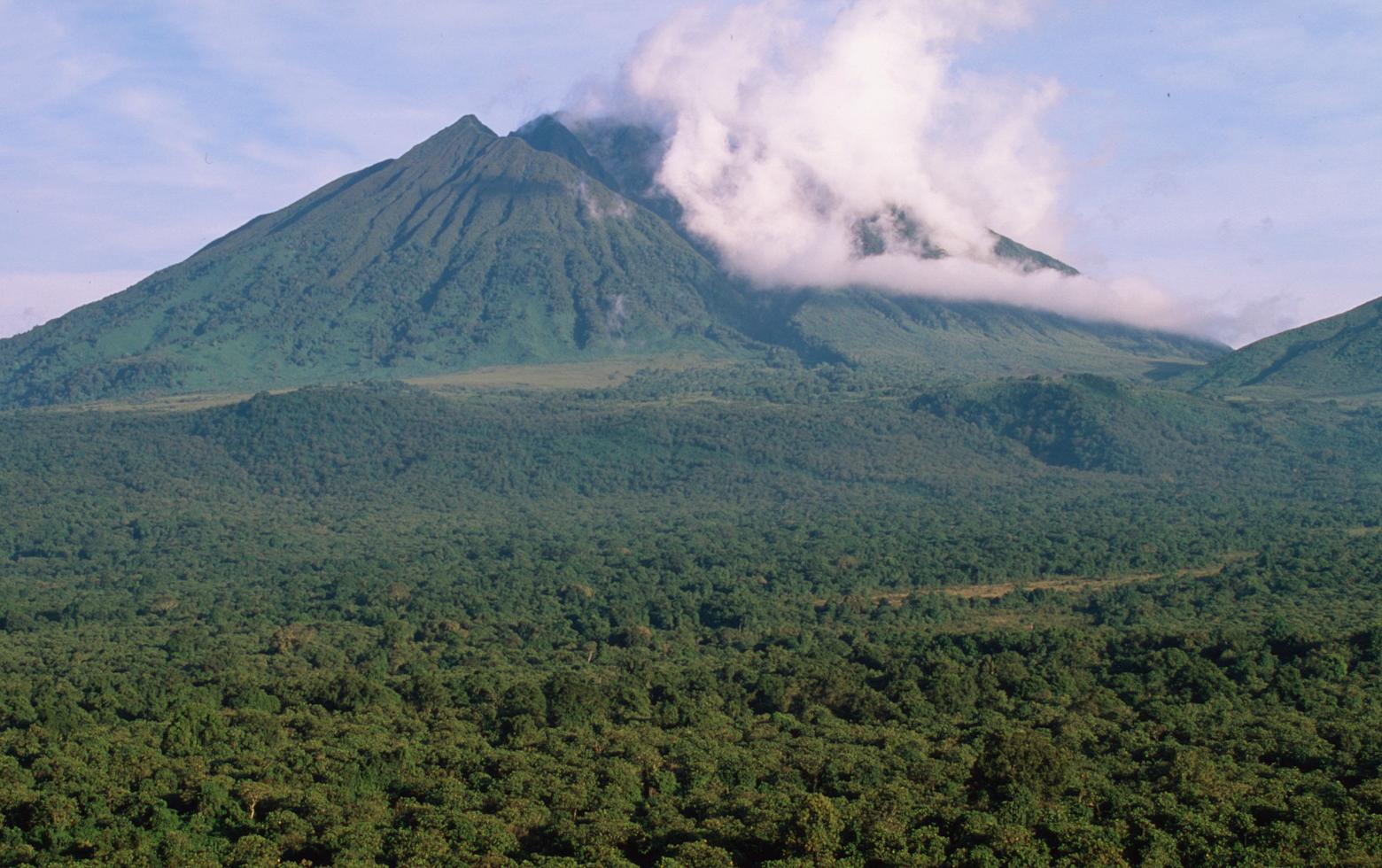 Parc Nationale du Virunga National Park