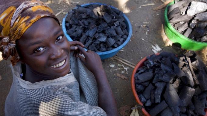 Soutien aux actions de protection du gorille et de son habitat en République démocratique du Congo