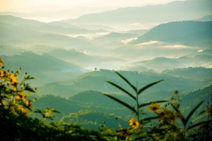 Panoramisch uitzicht op de in mist gehulde Aziatische jungle, thuis van de tijger