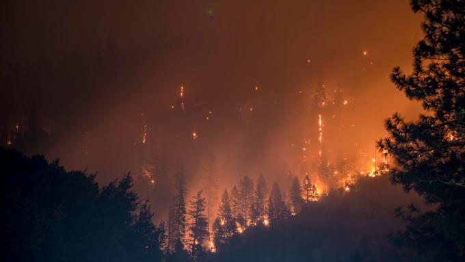 Feux de forêts bosbranden