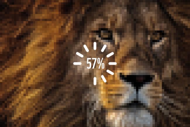 WWF lion leeuw